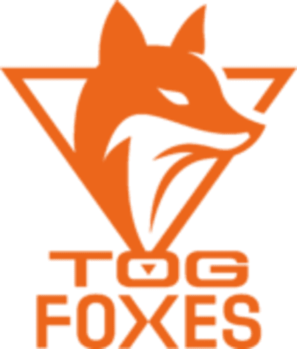 Team Orange Gaming