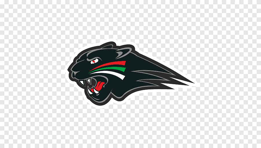 Augsburger Panther
