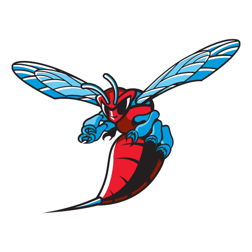 Delaware State Hornets