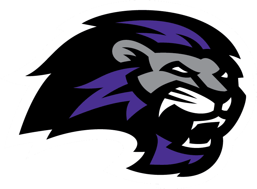 Paine Lions