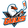 San Diego Gulls