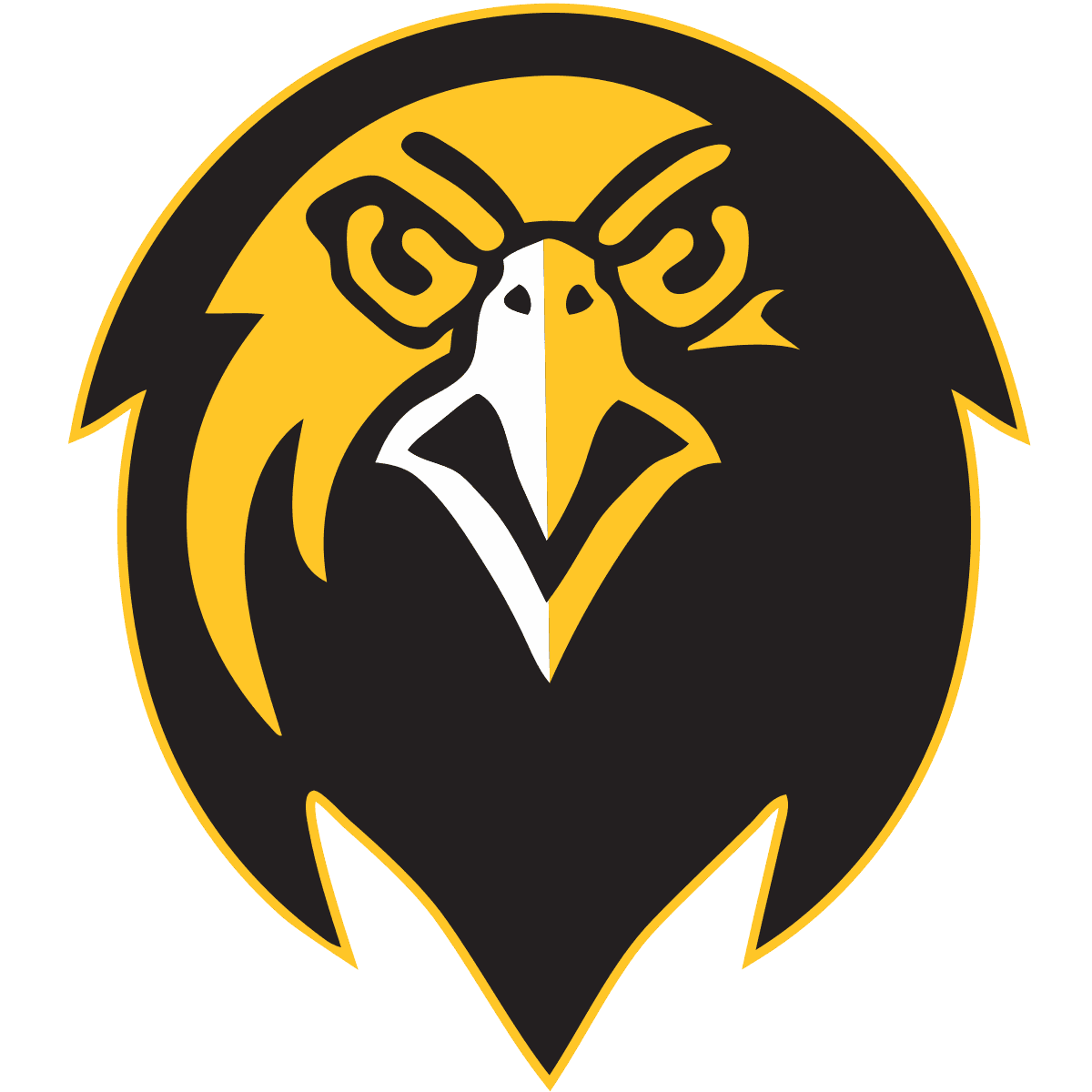 Pfeiffer Falcons
