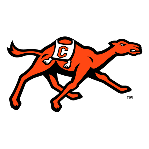 Campbell Fighting Camels