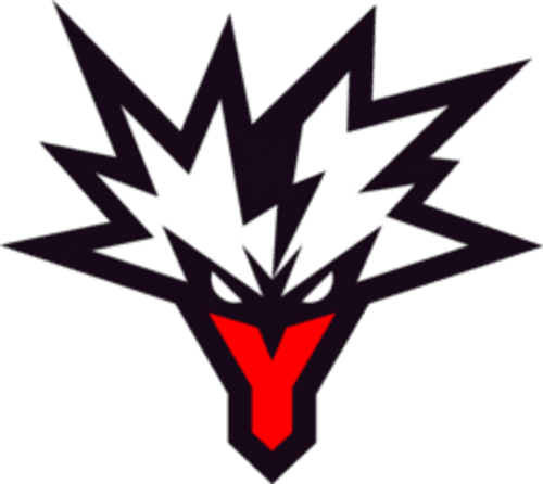 Team Yandex